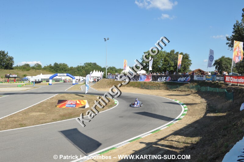 DSC_ (28).JPG
